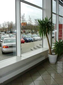 ���������� �����������, ����������� ������� ������ 90-� ����� � �������� ���� � ��� ������� �������.