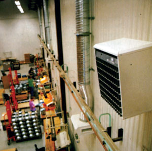 �����������, ��� ����� � ������������� ������������, ��� ������� ����� ����� � ���� ����������� ���������.