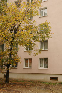 ����������, ��� �������������� ����������� ����� ������� �������� ���������� ��������������. 