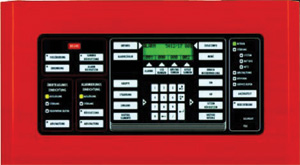 ��� ��������� � ��������� ��������� �������-�������� ������������ ���������� ��������� ���� �������-����������� ����������: ����������� ������� � ����������� ������.