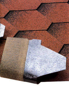 � ��������� ���� �������� ����� ��� ���������� �� ������� �������� � ���������������.