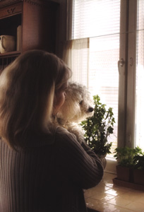 ��������� ���� �� ������ ������, ���� �������� ���� � ��������, ��������� ����������� ������� ������� ��������, �� � ������������ ��� �������� ��������, ���������� ��������.