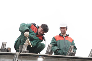 ���� �.��������