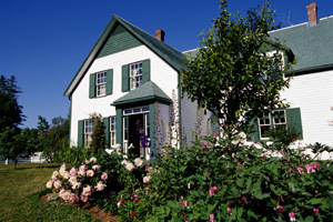 ��� ��������� � ��������� ������� ��������� ������� ������ �������. �� ��������� �� ������ ���������� ����������, � ��� ������� �������� � ������.