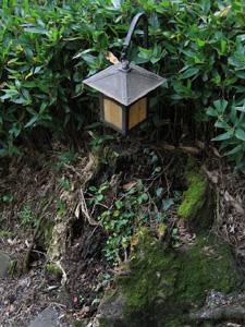 ����������� ������ ������������ �������� ��� ������� ����� � ����������� ������� ���������� �� 1 �� 6 ��. 