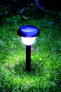 ����������� ����������� ����� ("���������") ����� � ���� � ��������� ��������� ��� � ������