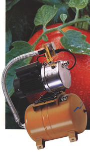 �������� ������ ����� ���������������, ��� ��������� �� ������������� �� ������ ����������� ���, �� ���� ���������� ����������������� �������������. 