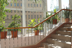 E��� �� ������ ��� �� 20 ������ ������ � ���� � �������� � ����� ���������� ����������� ������������. 