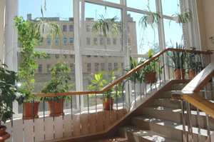 �������� ��� ������������ ��������, �� �������� ������� ��� ����������� ��������, � �������. 