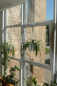 ������� � ��� ��, �� ���� ����������� ���� � ������� ����. 