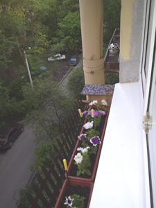  2004-2005   10  ,  8        "-". 