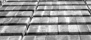 ��� �������� TERIVA