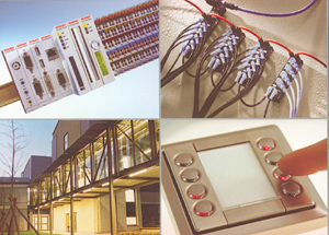 ������� "����� ���" � "���������������� ���" ������ � ���������� ������������ ���������� ������� �����...