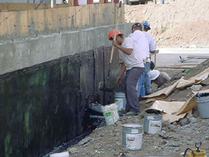 ���� �� ���������� ������������� - ���������