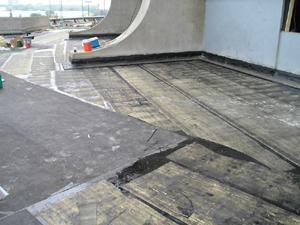 ���������� ������������� - � ���� �� �������!