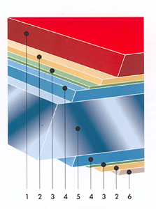  : 1. , 2. , 3.  , 4.  , 5.  , 6.   