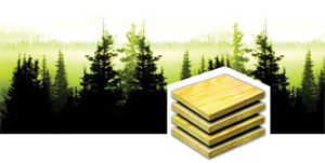 ������������� ������ - ��������, ��������� ��������