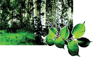 ������ ������ ������ �� ������������ ���������