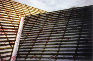 ������� ����� � ���� ������