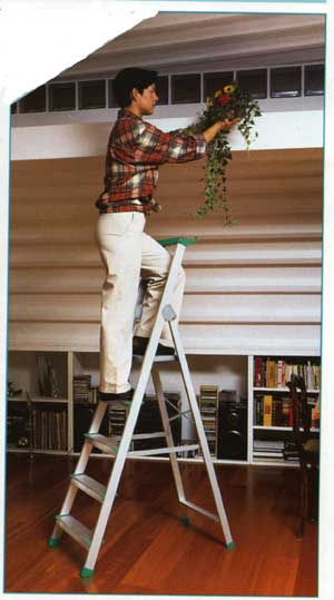 ��������� �������������