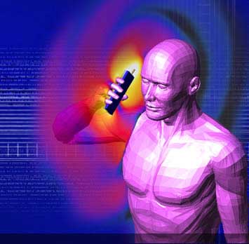 ���� ����������