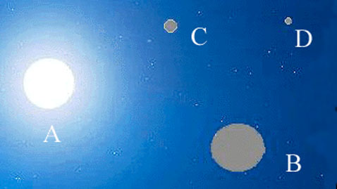 . 1.          .      , , ...,       ,    ,          .