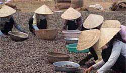 ��� �������� �� ����������� ���������