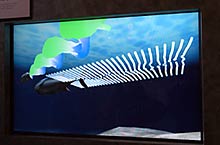 "���������": ��� ���� (���������&nbsp;� �����, �������&nbsp;� �����) ������������� ��������� ������� ������������ ������ ������ (���� � ����� web.mit.edu).