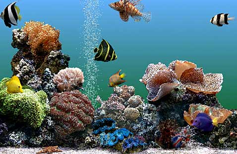 ���� ������ ������� ���������-������������, ������ � ����� ������� �� ��������� ��������� ���� �������������� ������������� � ����������������� �����������, �� ����� �� ������ ���������� �������� "��������� ������" (����������� � ����� serenescreen.com).