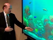 ����������� ��������� ���������� � � �������� ��������� ��������� (���� � ����� cbc.ca).