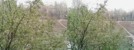 �������� ������