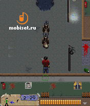 Real Football 2007, Tony Hawks Project 8,  