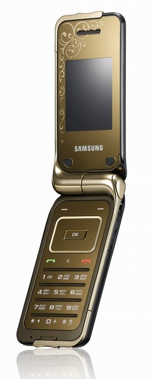 Samsung L310