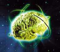 ���� ����������