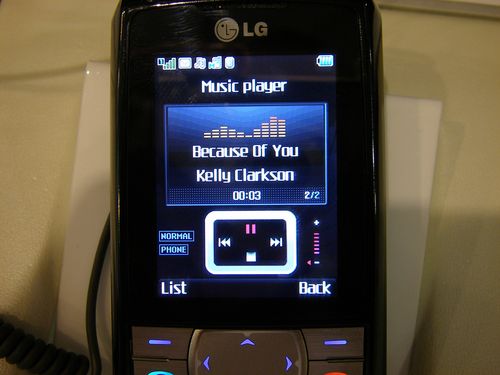LG KG300