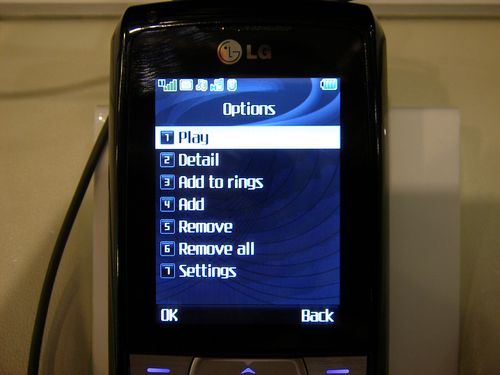 LG KG300