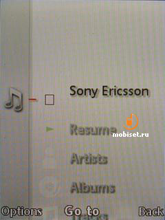 Sony Ericsson W890i