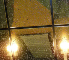 ��������� ���� �������