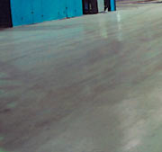 �������� ���� REESA ������-������