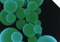 �������������� Remmers