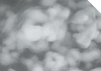  �������������� Remmers