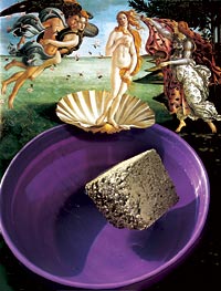 ��� � ����������. ������� �����������