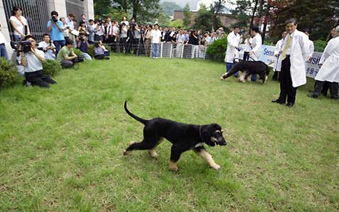      , ,      .    ()    ( Kwon W.S./ohmynews.com).