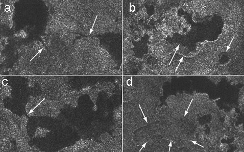 �� �������, ���������� �� ����� ����� 22 ���� 2006 ����, �������� ������ ��������� � ���� ��� � ������&nbsp;� ������� ���������. �� ������ d ������� �������, �������, ��-��������, �������� �������� ������ (���� NASA).