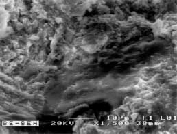 ������������ �� �����, �������� ������� ���������