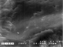 ������������ �� �����, �������� ������� ���������