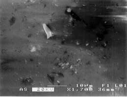 ������������ �� �����, �������� ������� ���������