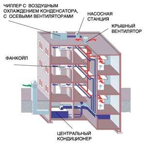 ������� ��������� ������������ ������������ � �������, � ������� � �������� ������� - �� ������ ������.