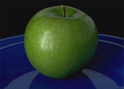 � �������� ������