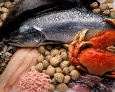 ������������ �������